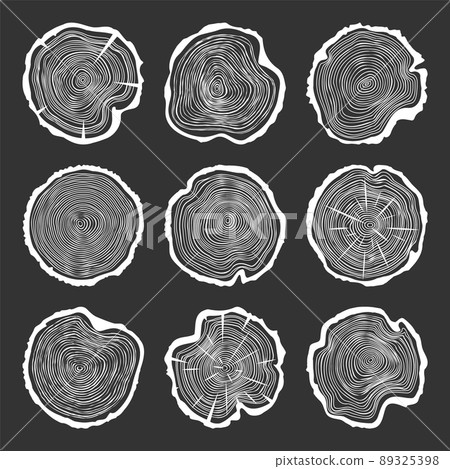 White round tree trunk cuts with cracks, sawn pine or oak slices, lumber. Saw cut timber, wood. Wooden texture with tree rings. Hand drawn sketch. Vector illustration 89325398