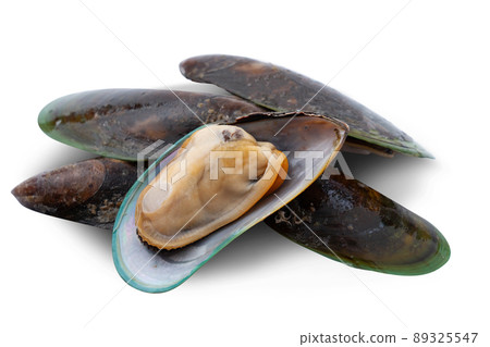 Fresh mussel isolated on white background 89325547