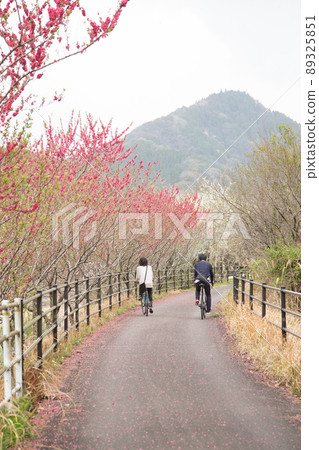 Spring Maple Ayama Cycling Road Spring Maple Ayama Cycling Road 89325851