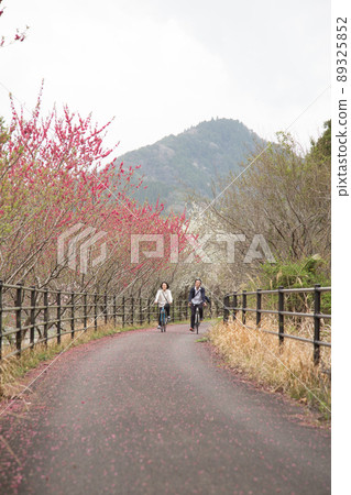 Spring Maple Ayama Cycling Road Spring Maple Ayama Cycling Road 89325852