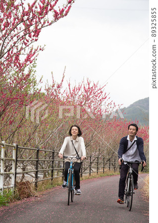 Spring Maple Ayama Cycling Road Spring Maple Ayama Cycling Road 89325855