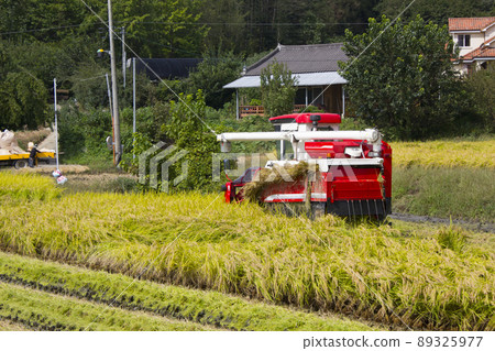 Harvest 89325977