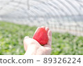 Strawberries 89326224