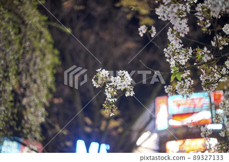 夜櫻，枝頭，ups，市區 89327133