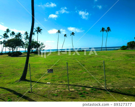 Hawaii's vast nature 89327377