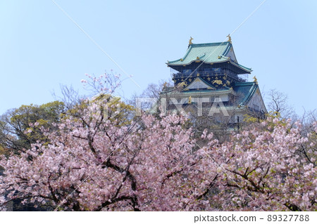 櫻花和大阪城天守閣(大阪/春天)2 櫻花和大阪城天守閣(大阪/春天)2 89327788