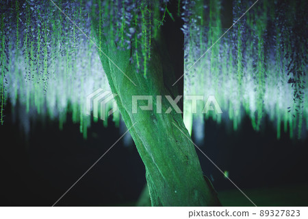 Fujiwood Fujiwood 89327823