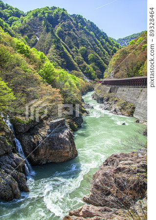 Spring Akashiba Gorge Spring Akashiba Gorge 89328464