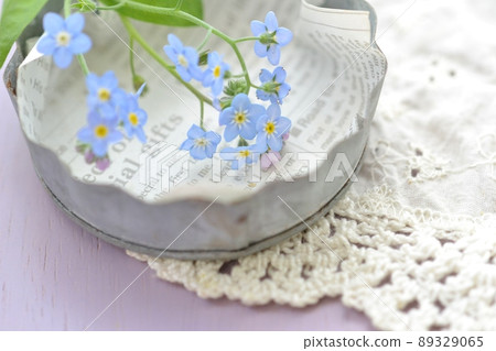 Blue florets forgotten grass 89329065