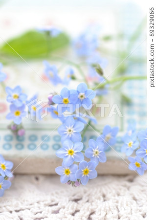 Blue flower forget-me-not 89329066