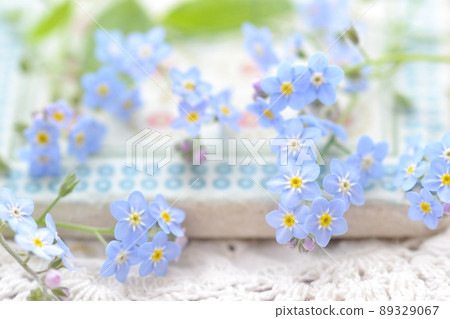 Blue flower forget-me-not 89329067