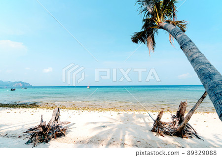 beach on a tropical island in the afternoon 89329088