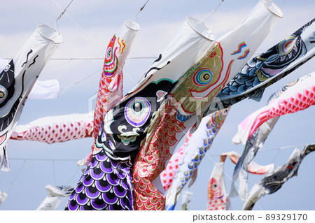 Carp streamer 89329170