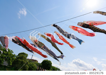 Carp streamer 89329176
