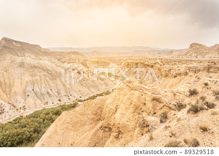 Sandy formations with green plants in sunlight Sandy formations with green plants in sunlight 89329518