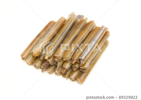 長竹蟶 長竹蟶 89329922