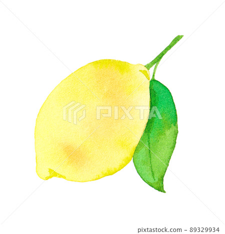 檸檬水彩插圖 89329934