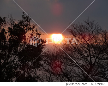 《京都府》木津川黎明前的日出景色 《京都府》木津川黎明前的日出景色 89329966