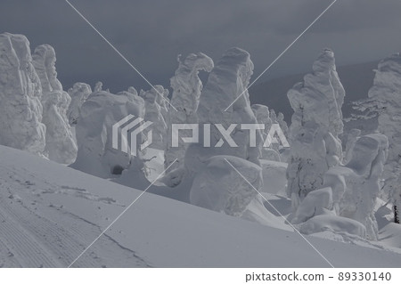 [山形縣]藏王的冰天藍/白雪山雪景 89330140