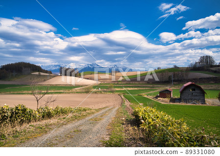 Biei landscape Biei landscape 89331080