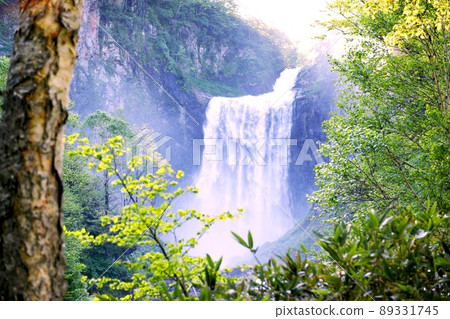 [Shimamaki Village Garo Falls (Ryujin Falls)] 89331745
