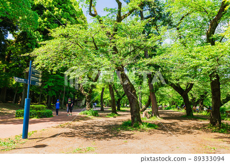 Kichijoji Fresh Green Inokashira Park 89333094