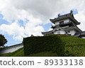 Kakegawa Castle 89333138
