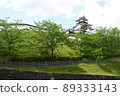 Kakegawa Castle 89333143