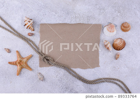 Summer nautical marine background with shell Summer nautical marine background with shell 89333764