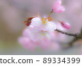 櫻花 89334399