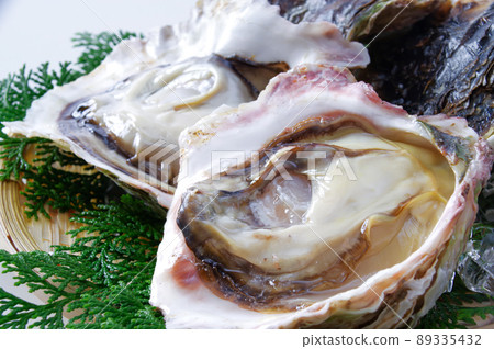 Fresh rock oyster Fresh rock oyster 89335432