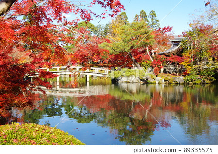 Zenrinji Temple (Eikando) / 京都市左京區的紅葉 Zenrinji Temple (Eikando) / 京都市左京區的紅葉 89335575