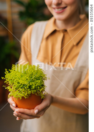 Vertical cropped shot of smiling female florist in apron holding in hands pot with Soleirolia plant standing in floral shop, selective focus. Woman gardener posing with houseplants at home. 89335664