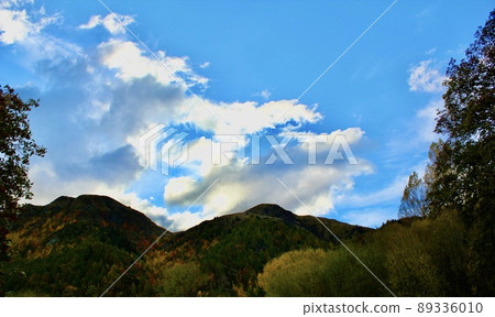 Autumn Leaves New Zealand Arrowtown, NZ Autumn Leaves New Zealand Arrowtown, NZ 89336010