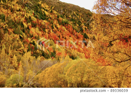 秋葉新西蘭 Arrowtown, NZ 89336039
