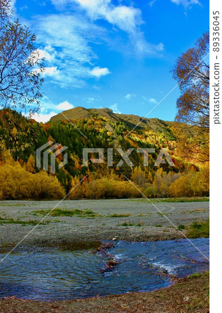 Autumn Leaves New Zealand Arrowtown, NZ Autumn Leaves New Zealand Arrowtown, NZ 89336045