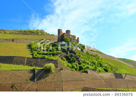 Cruise around the Rhine River in Germany Cruise around the Rhine River in Germany 89336078