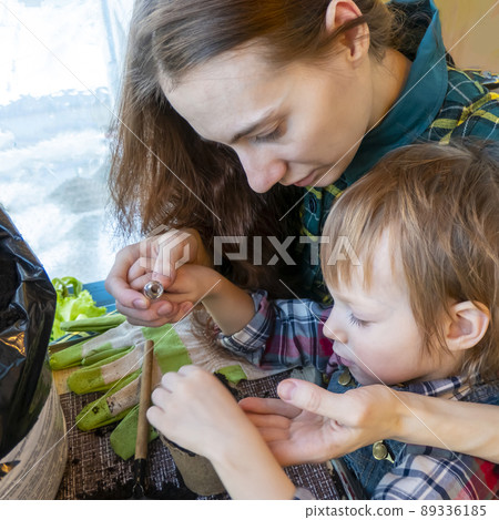 mom and son prepare a hole and plant seeds in a peat pot 89336185
