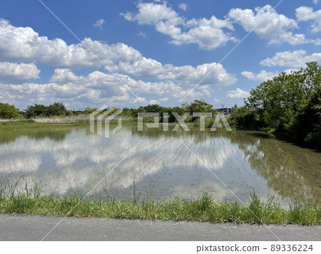 Rural scenery rich in nature 89336224