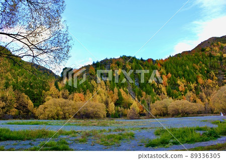 Autumn Leaves New Zealand Arrowtown, NZ 89336305