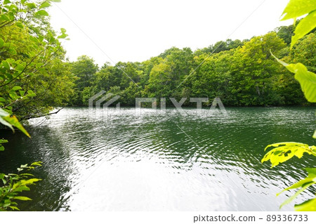 [被古老的山毛櫸林包圍的釜池小谷村] 89336733