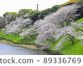 Sakura in full bloom in Chidori-gabuchi, Tokyo 89336769