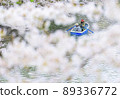 Chidorigafuchi, a person who gets on a boat and looks at the cherry blossoms from the water 89336772