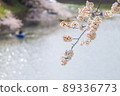 Sakura in full bloom in Chidori-gabuchi, Tokyo 89336773