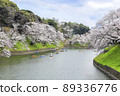 Sakura in full bloom in Chidori-gabuchi, Tokyo 89336776