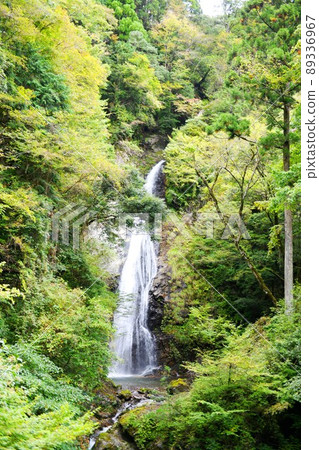 [紫蘇市、兵之山宇山、渚山國家紀念地、原風瀑布] 89336967