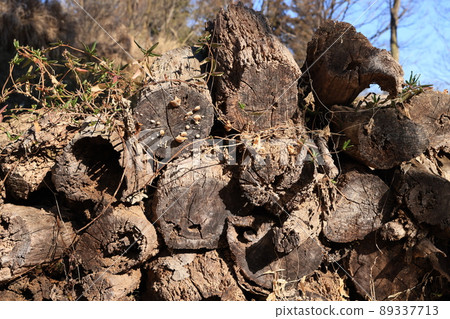 Kuchiki that was cut and piled up 89337713