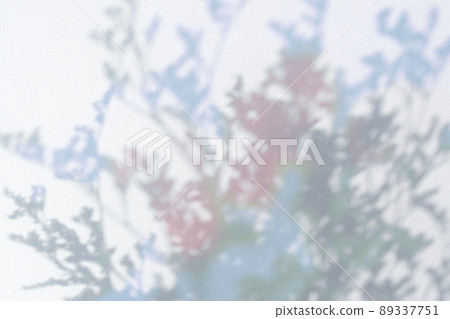 Dreamy plant silhouette and blank space Dreamy plant silhouette and blank space 89337751