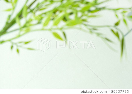 Dreamy plant silhouette and blank space 89337755