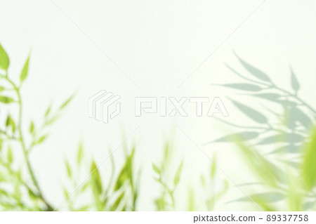 Dreamy plant silhouette and blank space 89337758
